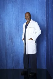 (9. Staffel) - Beruflich wei&szlig; Dr. Richard Webber (James Pickens, Jr.) immer, was er tut ...