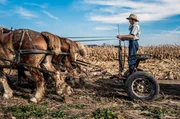 Der typische Amish Farmer &ndash; Feldbestellung nur mit Pferd und Pflug wie vor fast 300 Jahren