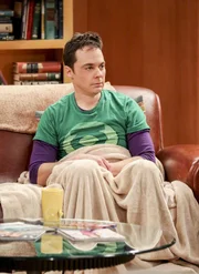 Die Nerven von Sheldon (Jim Parsons) liegen blank. Sein Notizbuch ist verschwunden und mit ihm die wichtige Air Force Formel ...