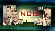 (15. Staffel) - NAVY CIS - Artwork