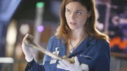 Dr. Brennan (Emily Deschanel) und ihr Team soll die sterblichen &Uuml;berreste einer Frau untersuchen, die in einem abgebrannten Autowrack gefunden wurde.