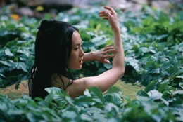 Um mehr &uuml;ber die Rebellen des "HOUSE oF FLYING DAGGERS" zu erfahren, soll Polizist Jin nach einer fingierten Festnahme Mei (Zhang Ziyi) befreien und ihr Vertrauen gewinnen. Der Plan gelingt, doch auf der langen Flucht durch die W&auml;lder geschieht Unvorhersehbares. Der Polizist und die vermeintliche Revolution&auml;rin verlieben sich ...