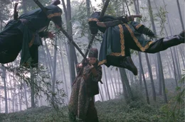 Das "House of Flying Daggers" ist den Herrschern der Tang-Dynastie schon lange ein Dorn im Auge. Zwar haben Soldaten es geschafft den Anf&uuml;hrer zu ermorden, jetzt versuchen sie mit allerlei Tricks dessen Tochter (Zhang Ziyi, M.) loszuwerden ...