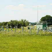 Versuchsanlage, die Gr&uuml;npflanzen mit CO2 begast.