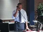 W&auml;hrend sich Vance (Rocky Carroll) Sorgen um Gibbs macht, versuchen DiNozzo und CIA Officer Joanna Teague alles, um in Shanghai den Kopf der Terrorgruppe "Der Ruf" dingfest zu machen ...