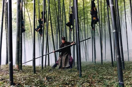 Pl&ouml;tzlich werden die Fl&uuml;chtenden aus der Luft attackiert. Soldaten gleiten wie Akrobaten von den Wipfeln der Bambusb&auml;ume hinunter. Ein Regen von Bambuslanzen geht auf das Paar nieder, bis Jin und Mei (Zhang Ziyi) in der Falle sitzen ...