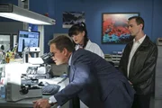 Ein neuer Fall wartet auf Abby (Pauley Perrette, M.), DiNozzo (Michael Weatherly, l.) und McGee (Sean Murray, r.) ...