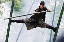 Mei (Zhang Ziyi).