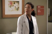 W&auml;hrend Cristina (Sandra Oh) und Owen versuchen einen Weg zu finden um mit ihrer eingefahrenen Situation fertig zu werden, &uuml;berschattet die bevorstehende Gerichtsverhandlung ihr Bem&uuml;hen ...