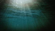Unterwasser-Symbolbild eines leeren, toten Meeres. Sonnenstrahlen brechen durch die Oberfläche. Im klaren Wasser sieht man keine Spur von Lebewesen.; Ueberleben in der Heisszeit Ozeane Unterwasser-Symbolbild eines leeren, toten Meeres. Sonnenstrahlen durchbrechen die Oberfläche. Im klaren Wasser sieht man keine Spur von Lebewesen. Unterwasser-Symbolbild eines leeren, toten Meeres. Sonnenstrahlen brechen durch die Oberfläche. Im klaren Wasser sieht man keine Spur von Lebewesen.; Ueberleben in der Heisszeit Ozeane Unterwasser-Symbolbild eines leeren, toten Meeres. Sonnenstrahlen durchbrechen die Oberfläche. Im klaren Wasser sieht man keine Spur von Lebewesen.