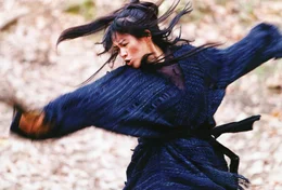 Das "House of Flying Daggers" ist den Herrschern der Tang-Dynastie schon lange ein Dorn im Auge. Als die Polizei vermutet, dass sie der Kopf der Rebellen sei, macht sich die blinde T&auml;nzerin Mei (Zhang Ziyi) auf den weg zum sicheren Hauptquartier, das tief versteckt in den W&auml;ldern liegt. Doch ihre Feinde heften sich an ihre Fersen ...