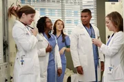 Die neuen Assistenz&auml;rzte finden sich inmitten des Dramas am Seattle Grace wieder: Leah (Tessa Ferrer), Stephanie (Jerrika Hinton), Jo (Camilla Luddington), Shane (Gaius Charles) und Heather (Tina Majorino) ...