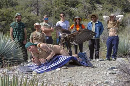 Chris Pontius, Steve-O, Wee Man, Sean "Poopies" McInerney, Johnny Knoxville, Rachel Wolfson, Jasper, and Nick Merlino in jackass 4.5 from Paramount Pictures and MTV Entertainment Studios.
