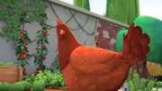 Milly ist auf das Huhn geklettert und versucht es abzulenken.