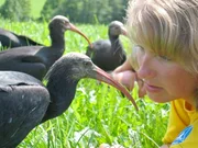 Waldrappe und Ziehmutter Martina Schiestl.