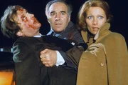 Paul (Claude Pi&eacute;plu, li.), Pierre (Michel Piccoli, Mi.) und Lucienne (St&eacute;phane Audran, re.) nach dem vermeintlichen Unfall ...