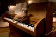Huhn Miku auf dem Klavier der Freikirche Lemheim.