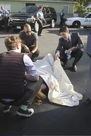 Ein neuer Fall besch&auml;ftigt Hotch (Thomas Gibson, r.), Reid (Matthew Gray Gubler, l.) und Morgan (Shemar Moore, M.) ...