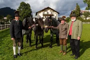 Sepp Forcher beim Postwirt und Noriker-Pferden.