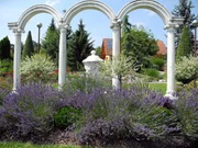 Scheucher, St.Veith.