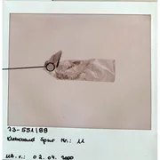 &bdquo;Spur 11&ldquo;: Klebeband, welches am Leichenfundort gefunden wurde.