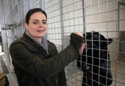 Dr. Susanne Mertens (Elisabeth Lanz) l&auml;sst den schwarzen Panther an ihrer Hand lecken - das Gitter des K&auml;figs trennt sie von der Raubkatze.