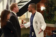 Sind sich nicht einig: Dr. Cahill (Constance Zimmer, l.), Owen (Kevin McKidd, M.) und Jackson (Jesse Williams, r.) ...
