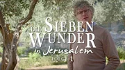 Wilkin van de Kamp Wilkin van de Kamp