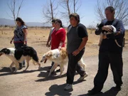Family shot with Borzoi: 1) Rhiannon M. Miller 2) Michael P. Miller 3) Alicia M. Miller 4) Brian R. Miller 5) Robert G. Miller