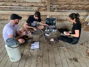 Biologen der Universit&auml;t Lausanne untersuchen Schleiereulenk&uuml;ken