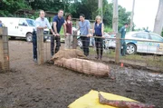 Eine Schweineh&uuml;terin findet beim F&uuml;ttern einen bereits von den Schweinen halb zerfressenen Leichnam. (v.l.n.r.) Danny (Scott Caan), Steve (Alex O'Loughlin), Kono (Grace Park), Chin (Daniel Dae Kim) und Abby Dunn (Julie Benz) beginnen mit den Ermittlungen ...