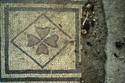 Dieses Mosaik wurde in der r&ouml;mischen Villa entdeckt, die vermutlich Aulus Rustius Verus geh&ouml;rte, einem der reichsten B&uuml;rger Pompejis.