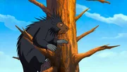 Ein Stachelschwein ist auf einen Baum geklettert, um f&uuml;r Yakari Ausschau nach einer verloren gegangenen Gabelhornantilope zu halten.