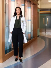 Dr. Audrey Lim (Christina Chang)