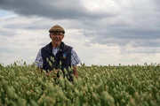 Nicholas Watts ist Bauer in den Fens. Das fruchtbare Gebiet gilt als Kornkammer Englands. Nicholas Watts ist Bauer in den Fens. Das fruchtbare Gebiet gilt als Kornkammer Englands.