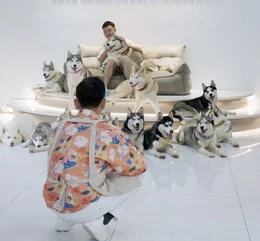 Hao fotografiert Zhou mit Huskys.