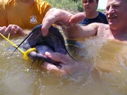 Chuck celebrates his catch.