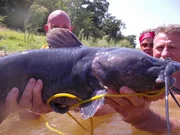 Skipper presents Chuck&rsquo;s fish.