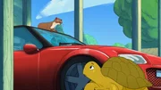 Marder Kevin (l.) hat sich in ein Auto verliebt, doch Schildkr&ouml;te T&ouml;rtel (r.) wei&szlig;: Das wird der Besitzerin so gar nicht gefallen.