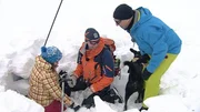Harry Prünster bei einer Übung mit einem Lawinenhund. Harry Prünster bei einer Übung mit einem Lawinenhund.