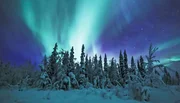 Hoch am Himmel kollidieren elektrisch geladene Sonnenteilchen aus dem Weltraum mit der Erdatmosph&auml;re und erzeugen das Schauspiel der Aurora borealis.