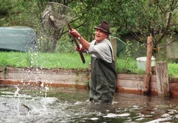 Der missmutige Fred (Peter Sattmann) geht nur noch in seiner Arbeit als Fischz&uuml;chter auf.