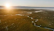 Die arktische Tundra erstreckt sich von den borealen W&auml;ldern bis zum Nordpolarmeer. Sie ist ein riesiger Lebensraum, der einzigartige Pflanzen- und Tierarten beherbergt, aber das Land selbst ver&auml;ndert sich aktuell rapide, da sich die Arktis mehr als doppelt so schnell erw&auml;rmt wie der Rest des Planeten.