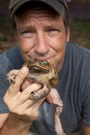 Mike Rowe. Cane Toads episode.