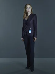 (11. Staffel) - Jeder gel&ouml;ste Fall aus den X-Akten bringt Scully (Gillian Anderson) und ihren Partner der Wahrheit einen Schritt n&auml;her ...