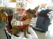 A young patient at the Mayo clinic finds happiness with Jack as seen on episode five of Dogs 101.