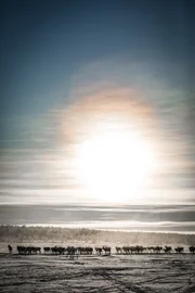 Die Inselwelt der  Kykladen in der &Auml;g&auml;is ist eines der beliebtesten Reiseziele Europas. Um die Verschiedenheit der Inseln zu erleben erm&ouml;glichen t&auml;gliche F&auml;hrverbindungen unbeschwertes Inselhopping.