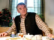 Branko Samarovski (Dr. Rudi Seelig).