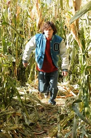 Ob er sich im Mais-Labyrinth verlaufen hat? Axl (Charlie McDermott) ...; Ob er sich im Mais-Labyrinth verlaufen hat? Axl (Charlie McDermott) ...