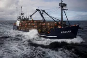 The Kodiak and its crew work to catch King Crab on the Bering Sea during King Crab season on Deadliest Catch season six.